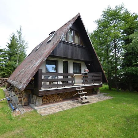 Nice Holiday Home In The Ore Mountains Only 500M From The Chairlift Loucna pod Klinovcem Ngoại thất bức ảnh