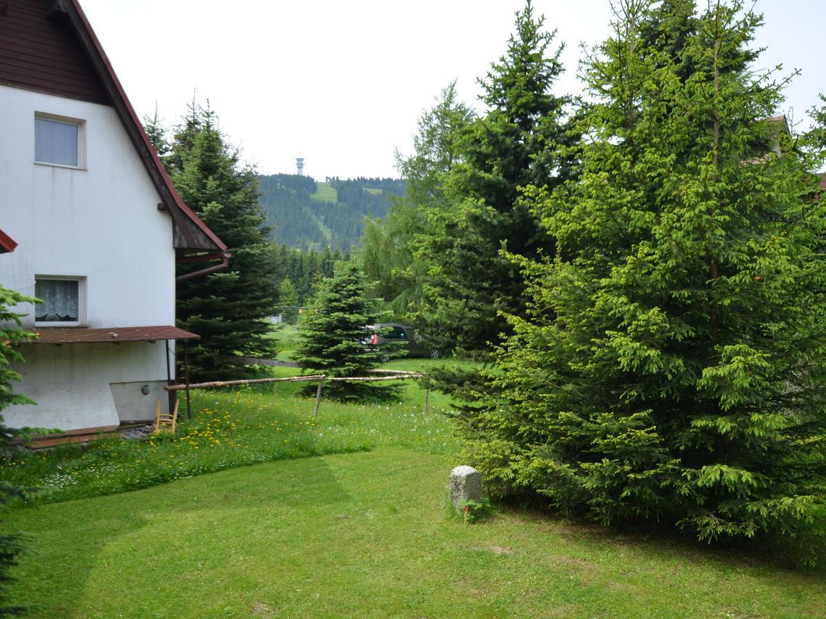 Nice Holiday Home In The Ore Mountains Only 500M From The Chairlift Loucna pod Klinovcem Ngoại thất bức ảnh